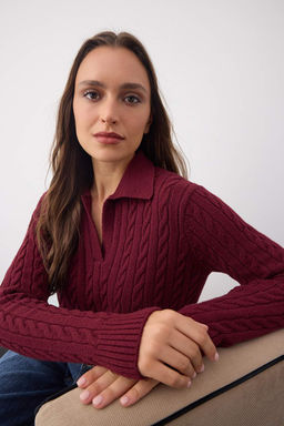 Wardrobe Essentials Bordo Premium IplikSac Orgulu Triko Kazak | TWOAW26KZ00132