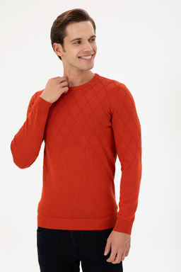 Erkek Slim Fit Bisiklet Yaka Kiremit Kazak - U.s. polo assn фото 10
