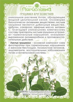 Грушанка круглолистная (лист) - Мариславна фото 2