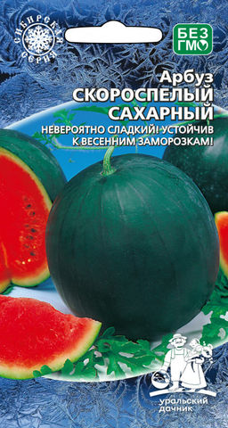 Арбуз СКОРОСПЕЛЫЙ САХАРНЫЙ  Невероятно сладкий! Устойчив к весенним заморозкам! Легко растёт и плодоносит даже в Сибири! Увесистые шары-ягоды по 3 кг!