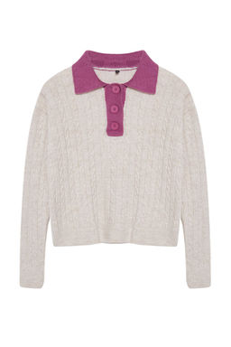 TRENDYOLMILLA Tas Yumusak Dokulu Polo Yaka Renk Bloklu Triko Kazak TWOAW25KZ00029