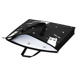 Папка для чертежей и рисунков пластиковая Феникс+, арт. 69270/ 12 ТРИ КОТА