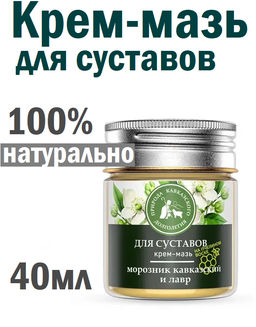 Крем-мазь Для суставов, пластик, 40 мл, Природа кавказского долголетия