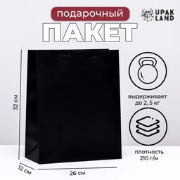 Пакет ламинированный Черный, M 26 32 12 см - UPAK LAND фото 3