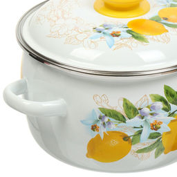 ЭМ_Кастрюля 3,0 л сфер. ЛИМОНЫ ОБОД н/о, арт. 3МС181Р