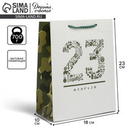 Цена за 2 шт. Пакет подарочный ламинированный, упаковка, «23 февраля», MS 18×23×10 см