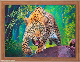 Картина 5D 30х40 244 / KS1912-1/