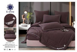 Одеяло Boris E-Shine Бархат Сатин с простыней на резинке по кругу и наволочками ODBORSH13 Евро