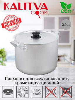 14025 Кастрюля 2,5л