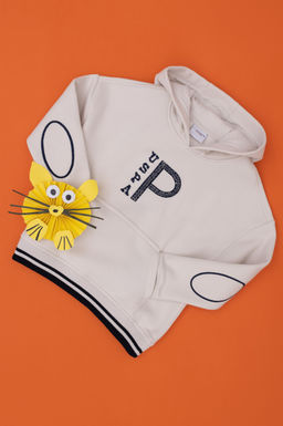 Erkek _ocuk Ta_ Sweatshirt