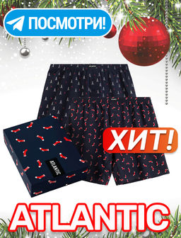 ATLANTIC 2GMB-010 Трусы боксеры Socks - набор 2 шт. темно-синий