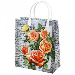 Пакет подарочный мягкий пластик с пластиковой ручкой 23х27см Мэри, 150 мкм, ламинированный (Россия)