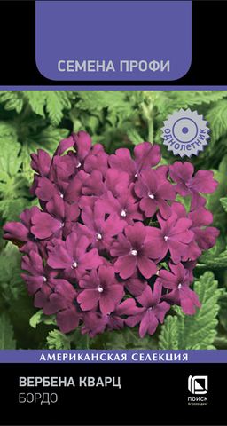 Вербена Кварц Бордо (Семена Профи) (ЦВ) (1) 10шт