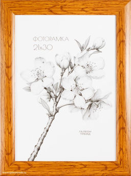 Фоторамка 21x30 / CH816-WOOD /уп10