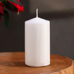 Свеча-цилиндр, 5×10 см, набор 2 шт., белая