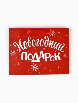 Цена за 2 шт. Пакет подарочный ламинированный «Новогодний подарок», MS 23×18×10 см