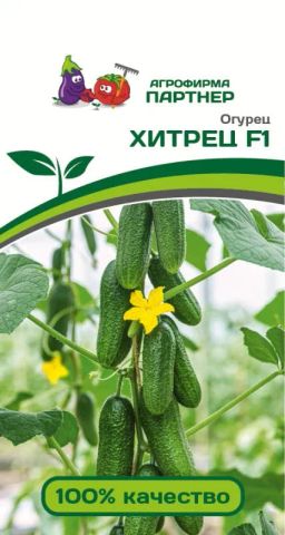 Огурец партенокарпический Хитрец