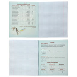 Набор предметных тетрадей Calligrata «Неон», 10 предметов, 48 листов, со справочным материалом, обложка из мелованного картона, УФ-лак, блок офсет