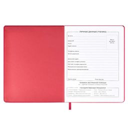 Дневник школьный арт. 59636 / 15 КЕДЫ МАЛИНОВЫЕ - Феникс+ фото 5
