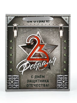 Цена за 2 шт. Пакет подарочный ламинированный 23 февраля, M 25.5?30?9 см