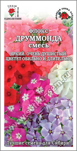 Флокс Друммонда (смесь) 0,2г (Золотая сотка Алтая)