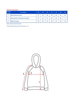 Джемпер (худи) с капюшоном д/мал. Берг - Oldos фото 6