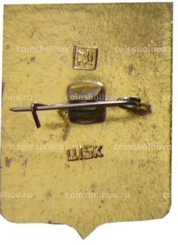 Значок Боровичи