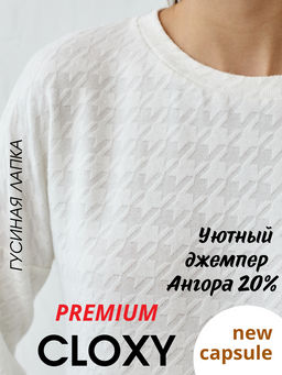 Джемпер С53191-7 НСК - Cloxy фото 8