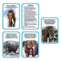 Набор для опытов Ледниковая эпоха, в пакете - Simaland фото 5