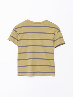 Bisiklet Yaka K?sa Kollu ?izgili Erkek Bebek Ti??rt - Waikiki фото 3