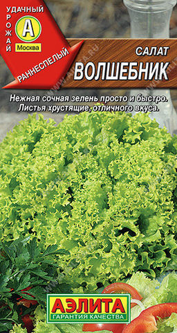 0827A Салат Волшебник полукочанный 0,5гр