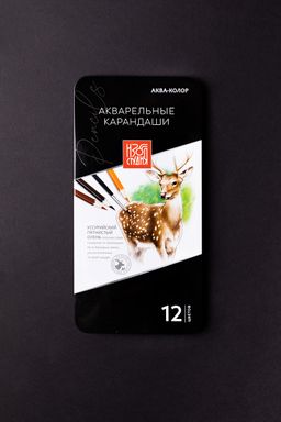 Аква-колор Изостудия IZO-WCPM12 Набор акварельных карандашей заточенный 2 х 12 цв. в металлической коробке