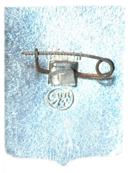 Значок Усмань