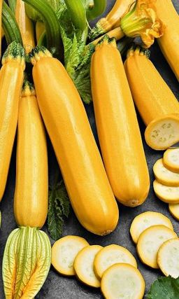 Кабачок ГЕРМАН  Кустовой, компактный! Плоды превосходного вкуса и качества! Хорошо хранится!