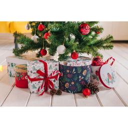 Набор подарочных коробок 5 в 1 «Европейский», 13 х 14‒19.5 х 22 см, Новый год