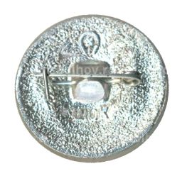 Значок В.И. Ленин