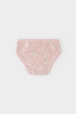 CROCKID, Трусы/ уп. Цвет: экрю, дымчатая роза, ромашковое поле