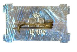 Значок город SAIESANA  музей