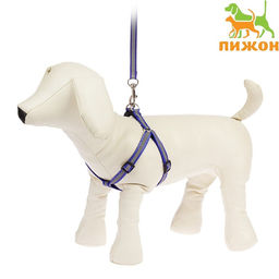 Комплект со светоотражающей лентой, ошейник 120 х 1 см, ОГ 26-40 см, синий