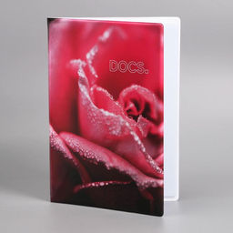 Папка для семейных документов Docs, 8 файлов А4