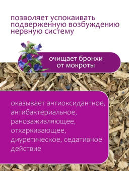 Синяк трава - Травы горного крыма фото 2