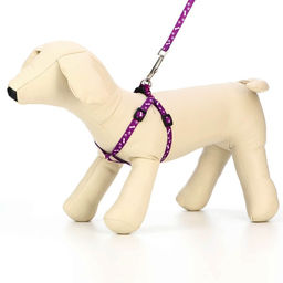 Комплект Классика, поводок 120 х 1 см, ОГ 28-47 см, фиолетовый - Пижон фото 3