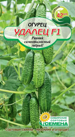 Удалец огурец F1 10 шт (ссс) Р парт