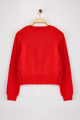 Nar Cicegi Yumusak Dokulu Mucevher Dugmeli Ceket Gorunumlu Triko H?rka TWOAW21HI0034