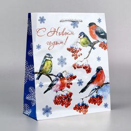 Цена за 2 шт. Пакет подарочный новогодний ламинированный «Снегири», ML 21×25×8 см