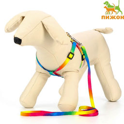 Комплект Радуга, капрон, поводок 120 х 1 см, ОГ 24-34 см, разноцветный