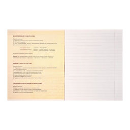 Тетрадь предметная Металл, 48 листов в линейку Русский язык со справочным материалом, обложка мелованный картон, блок №2, белизна 75% (серые листы) - Calligrata фото 2