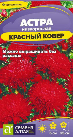 Цветы Астра Красный ковер низкорослая/Сем Алт/цп 0,1 гр.