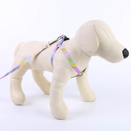 Комплект Листья, шлейка 24-36 см, поводок 120х1 см - Пушистое счастье фото 4