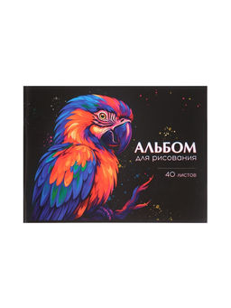 Набор альбомов д/рис А4, 40л на скобе Calligrata, обл мел карт 2шт